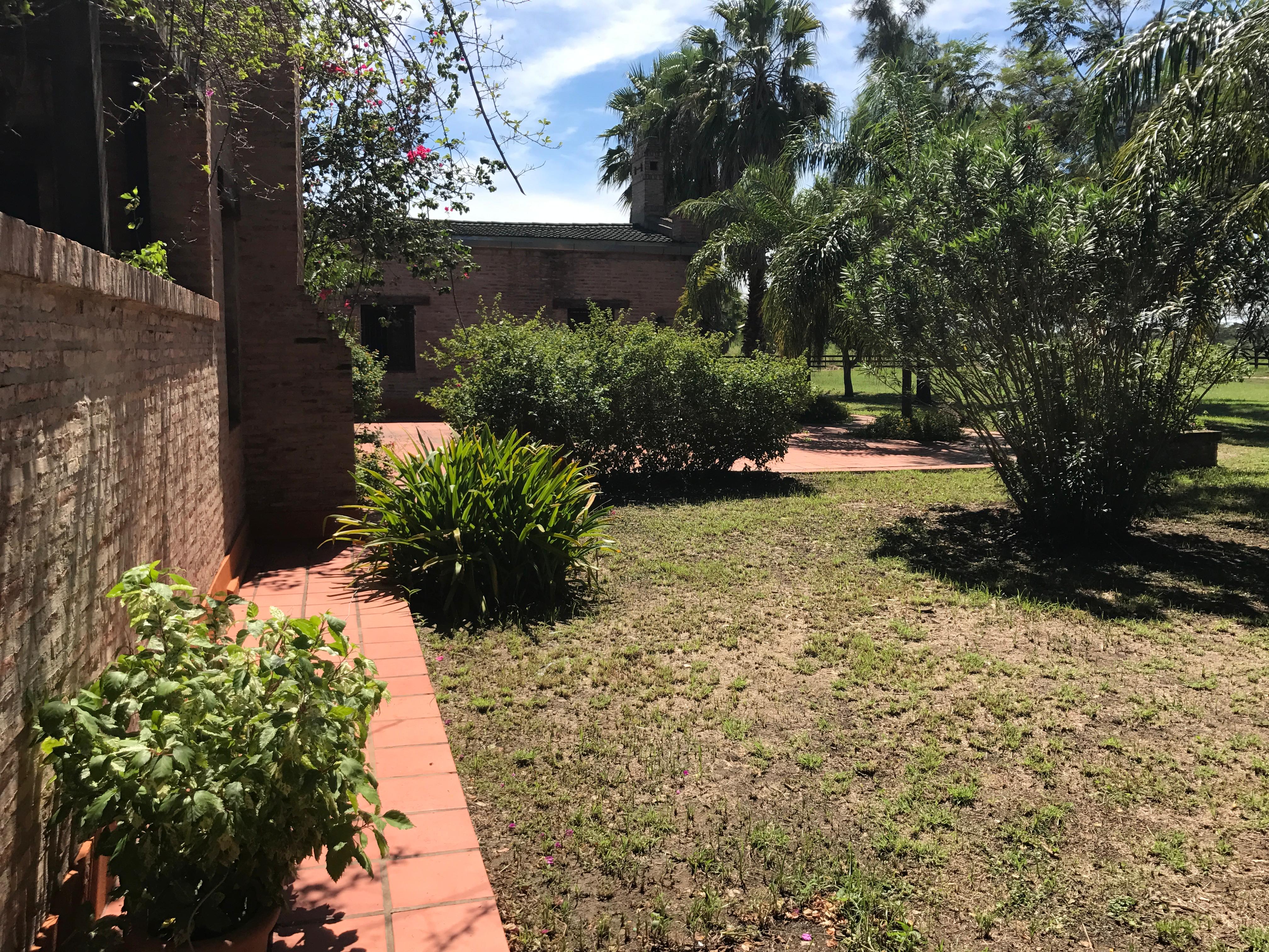 El Yarará - Imagen